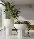 MACETA IRIS